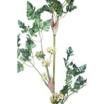 VARA SNOWBALL, 110 CM - Imagen 2