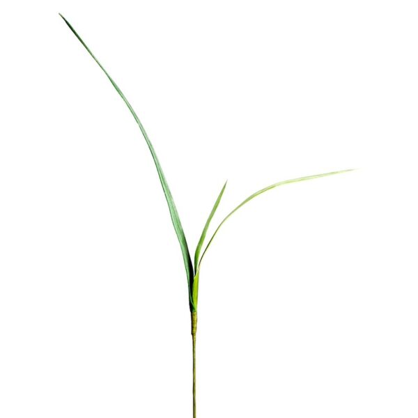 45962_0 VARA HOJAS ORQUIDEA , 78 CM - Imagen 1