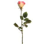 VARA DE CAPULLO DE ROSA 72CM