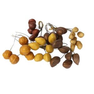 CAJA FRUTOS OTOÑALES