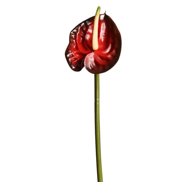 51690.18_0 ANTURIO, VARA 45 CM - Imagen 1