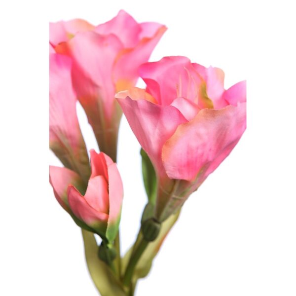 VARA AMARILIS CON BULBO 62CM - Imagen 2