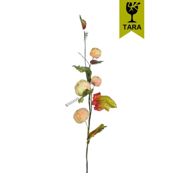 5514_0 VARA FRUTA - Imagen 1