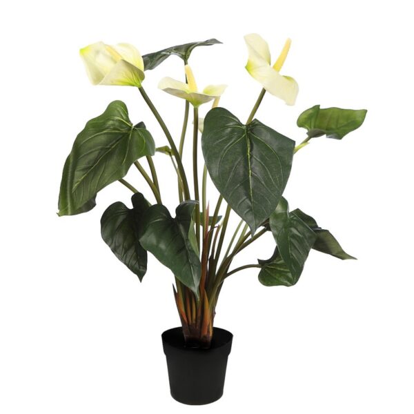 56377M.02_0 PLANTA ANTURIO 44CM EN MACETA - Imagen 1