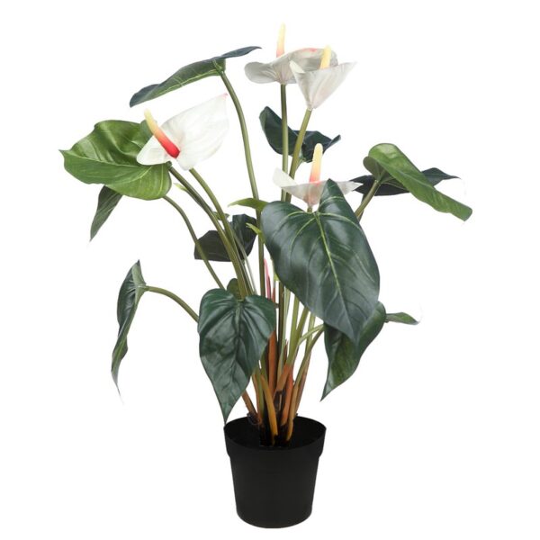 PLANTA ANTURIO 44CM EN MACETA - Imagen 2