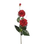 DALIA TACTO NATURAL X2, 79CM