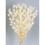 POMO NIGELLA ORIENTALIS 50CM