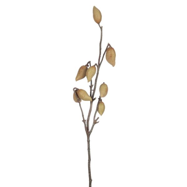 60365_0 LARGE FRUIT,VARA - Imagen 1