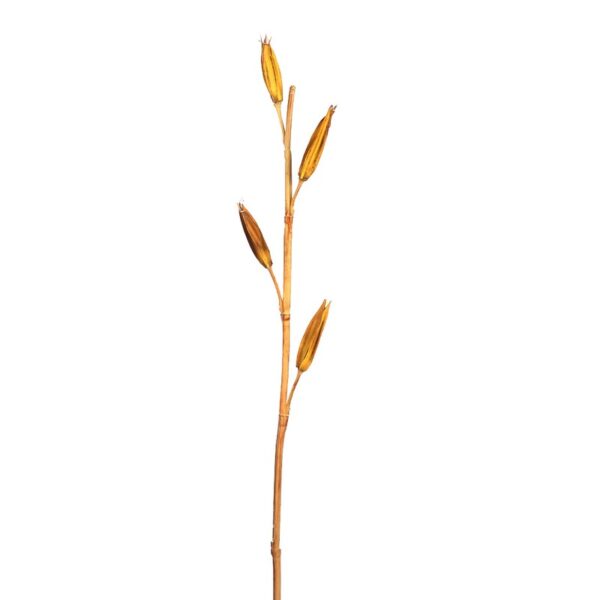 60367_0 VARA LILY BUDS 100CM - Imagen 1
