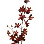 ORQUIDEA ARTIFICIAL DANZANTE 115CM - Imagen 4