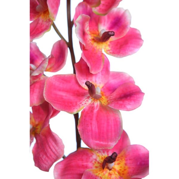 VARA ORQUIDEA VANDA 88CM - Imagen 2