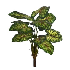 PLANTA CALADIUM 51CM