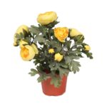 PLANTA DE RANUNCULOS ARTIFICIAL EN MACETA 30CM