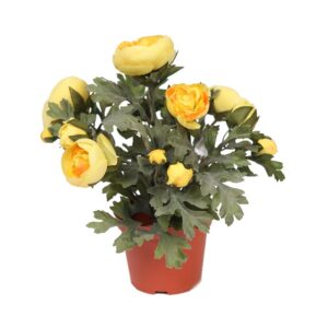 PLANTA DE RANUNCULOS ARTIFICIAL EN MACETA 30CM