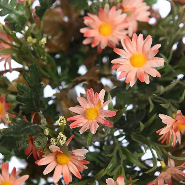 RAMO MARGARITAS X24 - Imagen 2