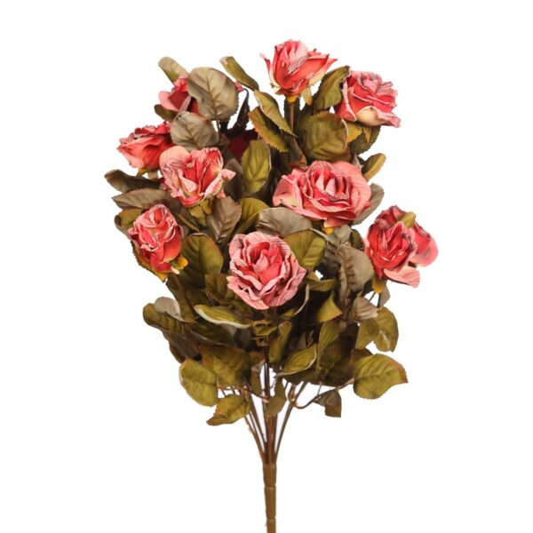 ROSA FRANCIA X 14, 48 CM - Imagen 1