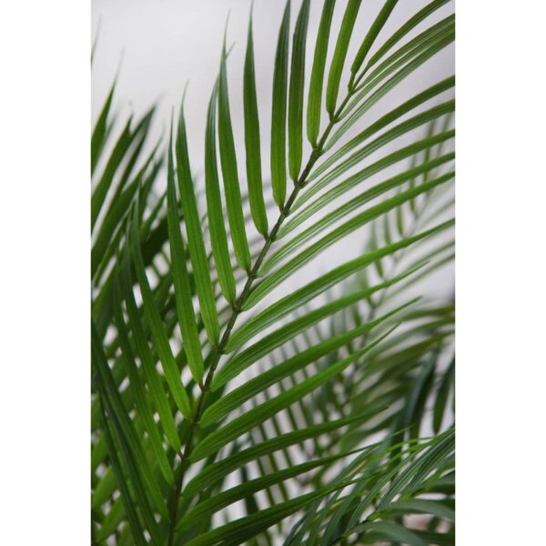 PALMERA ARTIFICIAL CON MACETA 120CM - Imagen 3