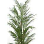 PALMERA CON MACETA ARTIFICIAL 170CM - Imagen 2
