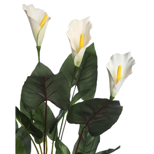 CALA LILY 61CM - Imagen 2