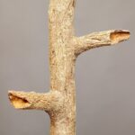 PALO FOSIL 228,5 CM - Imagen 2