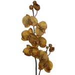 VARA ORQUIDEA 75CM - Imagen 2