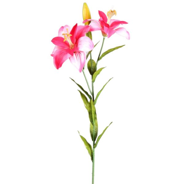 TIGER LILY, VARA X 2 80 CM - Imagen 1