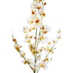 VARA DE ORQUIDEA 99CM - Imagen 2