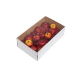 CAJA MANZANAS ARTIFICIALES 24PCS - Imagen 2