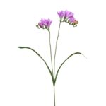 VARA FRESIA ARTIFICIAL 64CM