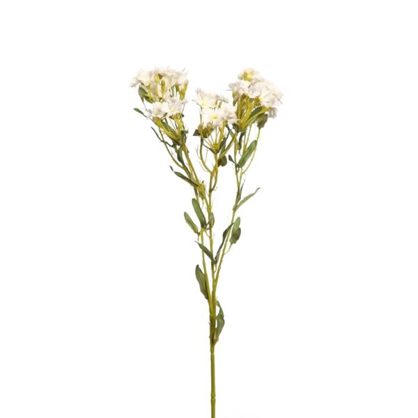 DIANTUS, VARA 74 CM - Imagen 1