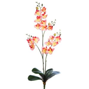 PLANTA ORQUIDEA 50CM