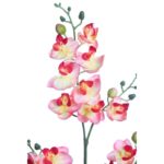 PLANTA ORQUIDEA 50CM - Imagen 2