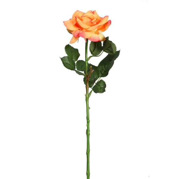 VARA DE ROSA 66 CM - Imagen 1