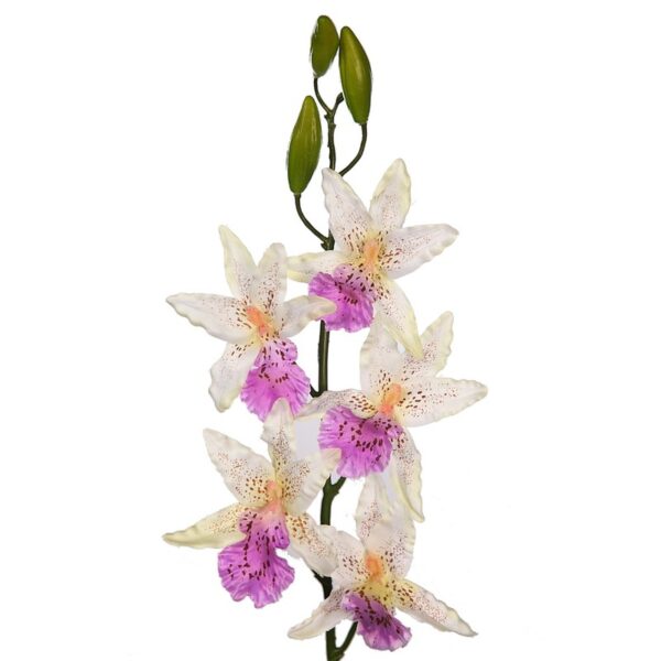 VARA ORQUIDEA MILTASSIA ARTIFICIAL 80CM - Imagen 5