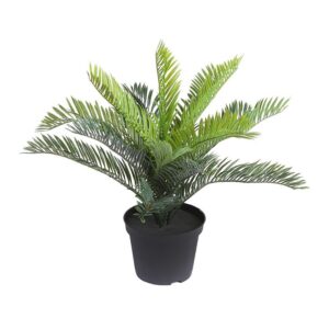 MACETA PALMERA CICA ALT 32CM