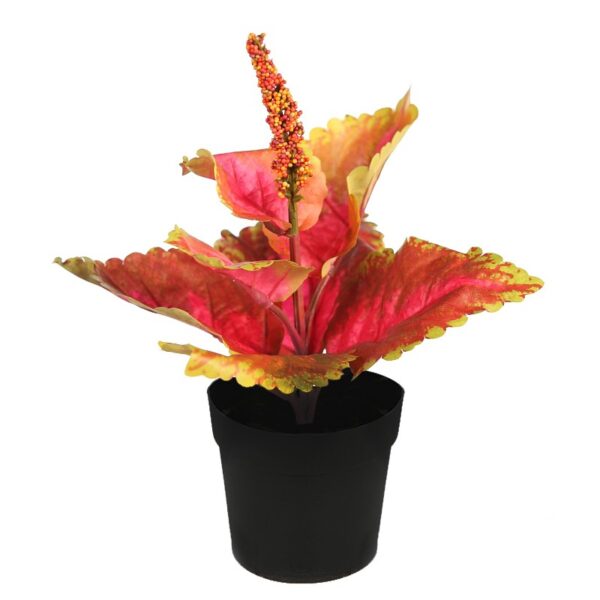 72538M_0 COLEO EN MACETA N. 23CM - Imagen 1