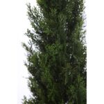 SETO TUYA ARTIFICIAL 120CM - Imagen 2