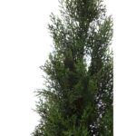 SETO TUYA ARTIFICIAL 90CM - Imagen 2