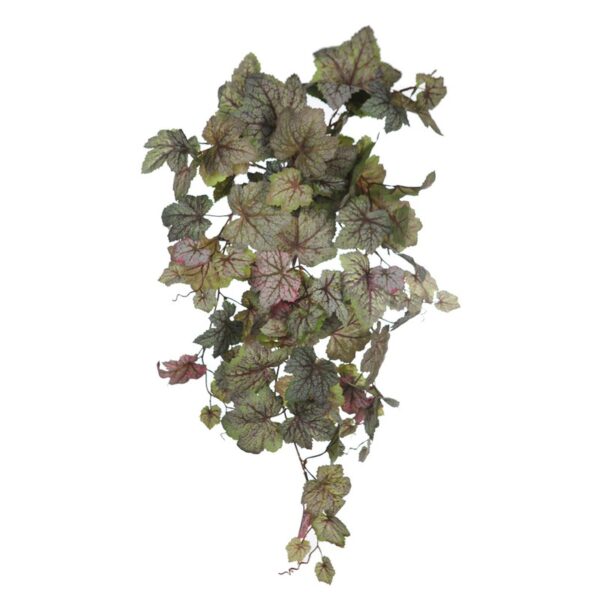 74337_0 BEGONIA SAXIFRAGA COLGANTE 68CM - Imagen 1