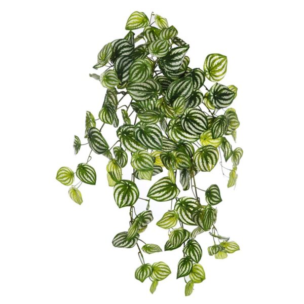 74344_0 PEPEROMIA BICOLOR ARTIFICIAL COLGANTE 75CM - Imagen 1