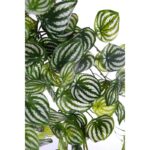 PEPEROMIA BICOLOR ARTIFICIAL COLGANTE 75CM - Imagen 2