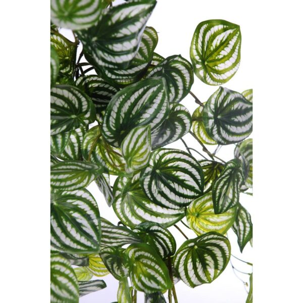 PEPEROMIA BICOLOR ARTIFICIAL COLGANTE 75CM - Imagen 2