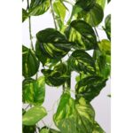 POTHO COLGANTE ARTIFICIAL 100CM - Imagen 2