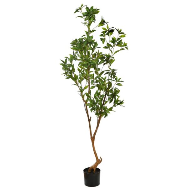 ARBOL SCHEFFLERA ARTIFICIAL 180CM - Imagen 1