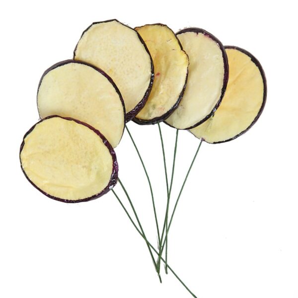 PICK BERENJENENA RODAJAS 15CM CAJA 24UD - Imagen 1