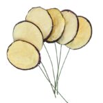 PICK BERENJENA RODAJAS 15CM CAJA 48UD