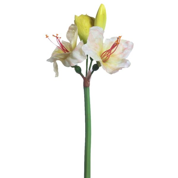 992017.02_0 VARA AMARILIS 90CM - Imagen 1