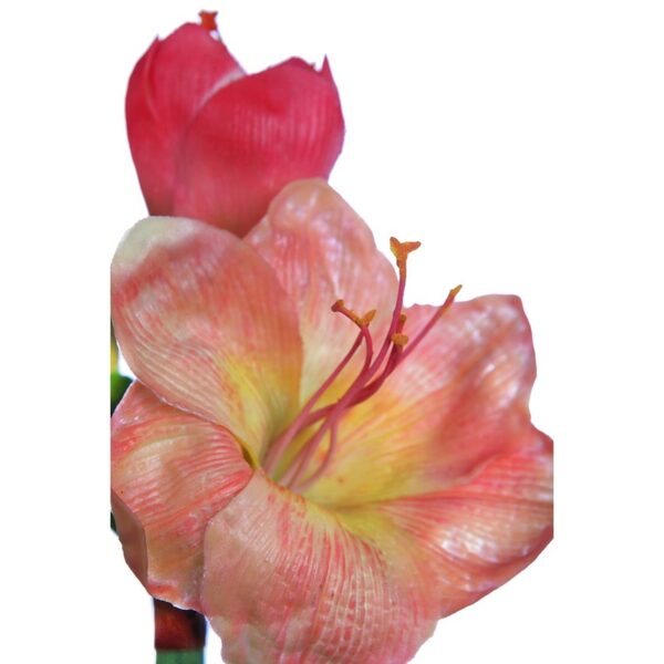 VARA AMARILIS 90CM - Imagen 4