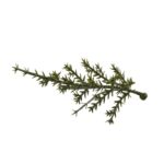 PLACA CIPRES ARTIFICIAL 50X50CM - Imagen 2