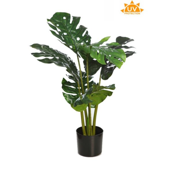 A348060-UV_0 PLANTA MONSTERA ARTIFICIAL EN MACETA 78CM - Imagen 1